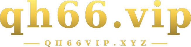 qh66.vip logo
